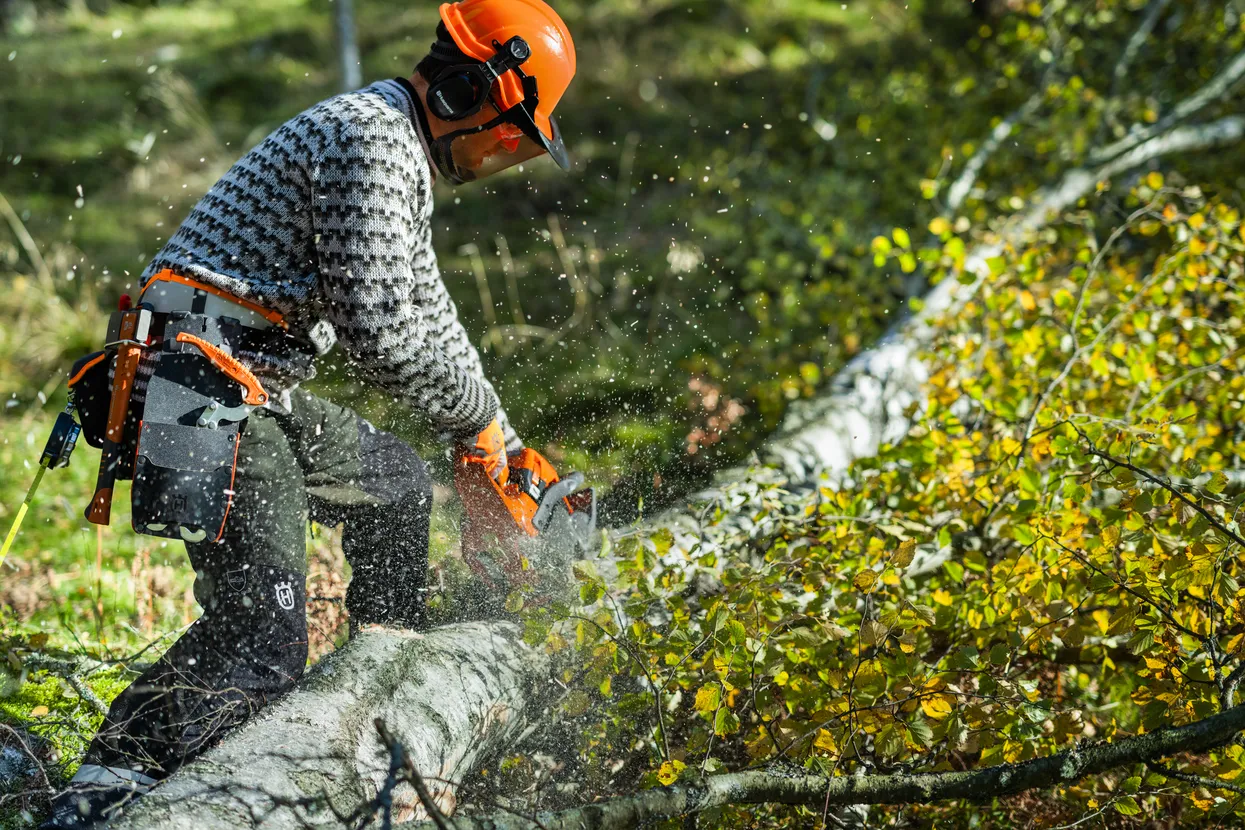Husqvarna 450S Pilarka spalinowa przeznaczona do prac leśnych, ścinki, cięcia i okrzesywania Husqvarna 450S Pilarka spalinowa przeznaczona do prac leśnych, ścinki, cięcia i okrzesywania